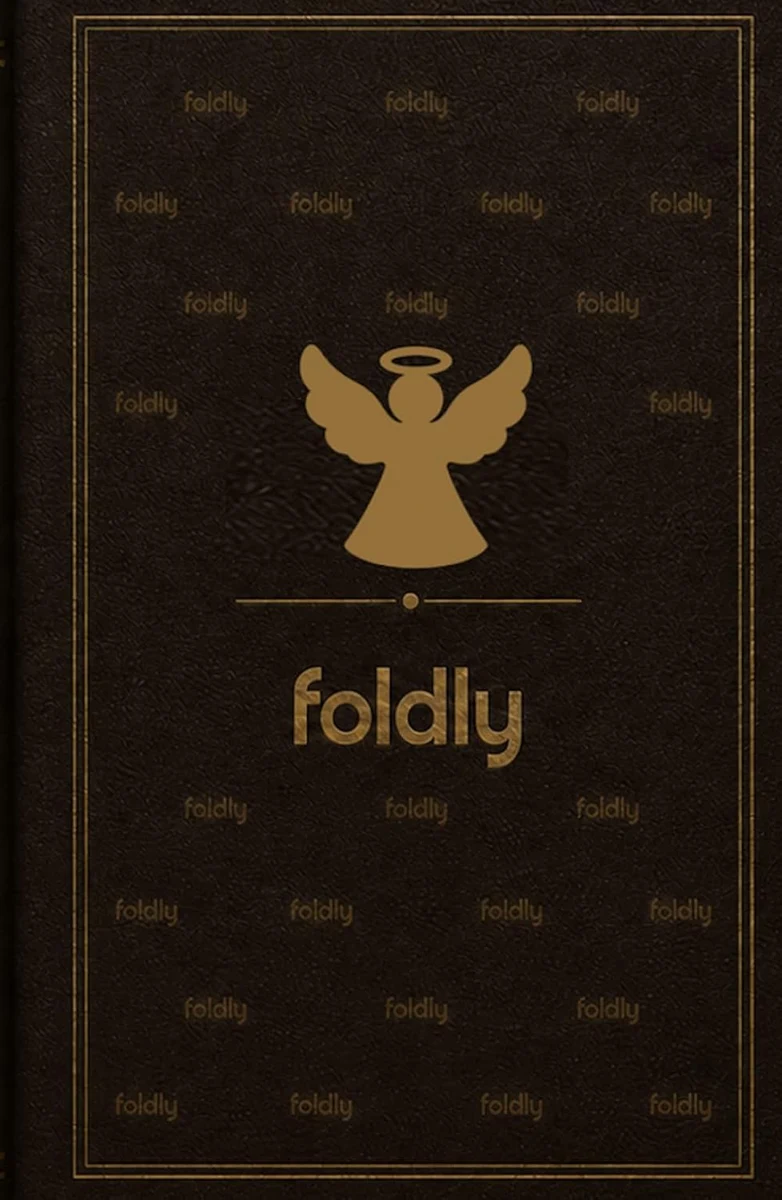 Foldly Angel — book cover
