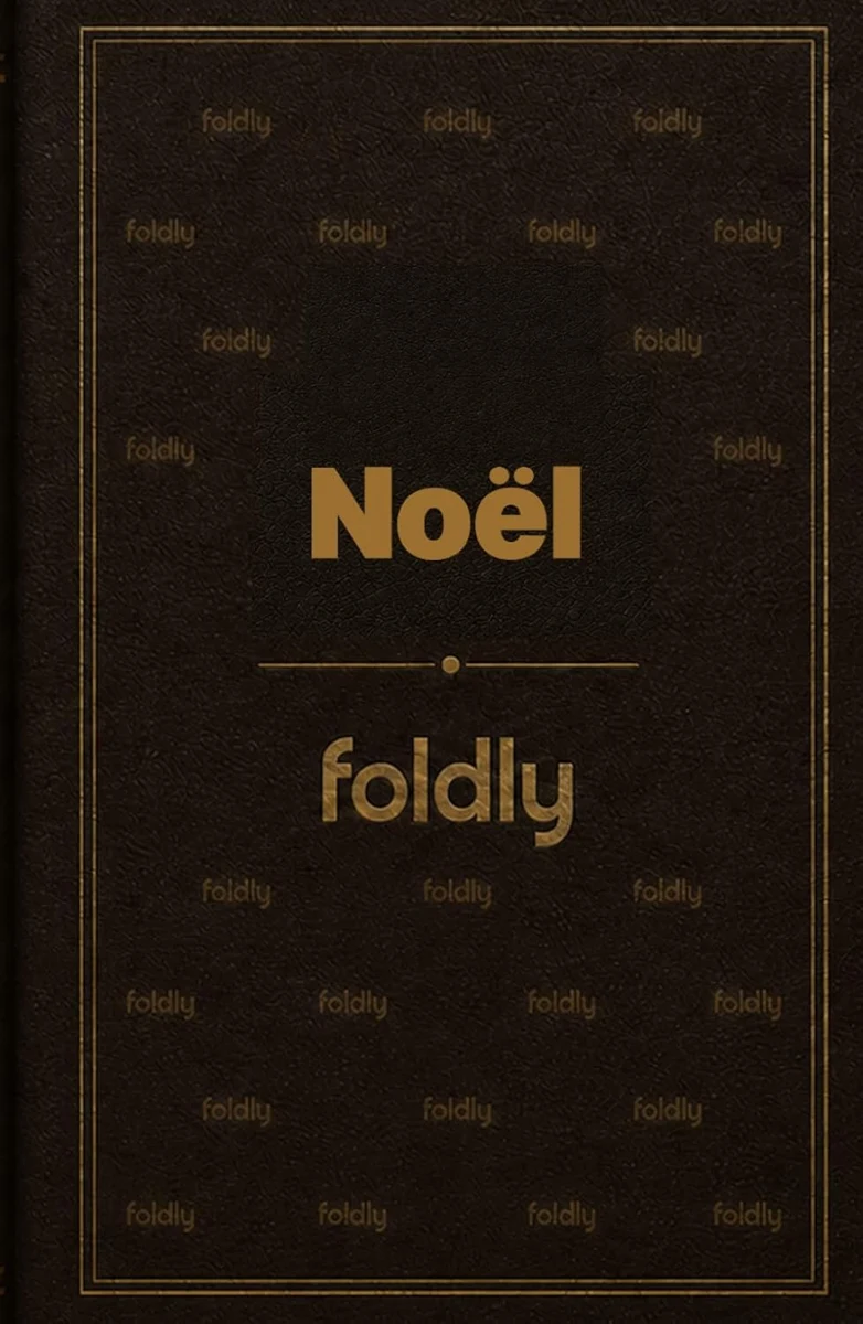 Foldly Noel — book cover
