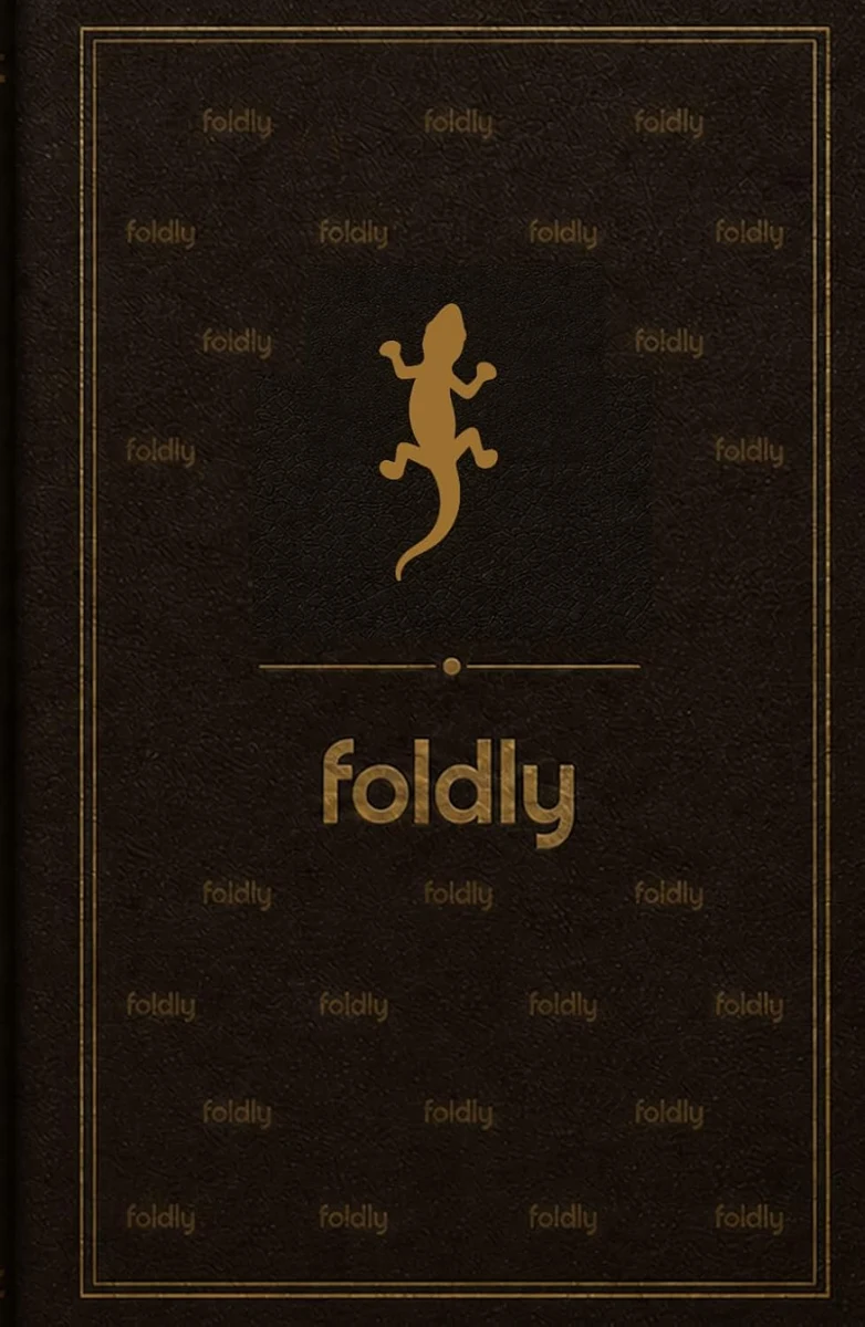 Foldly Lizard — book cover